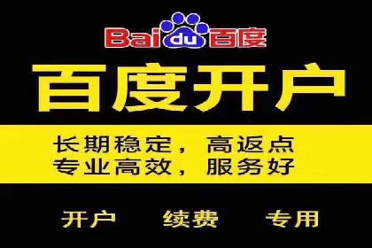 知名SEM服务公司成功案例分享